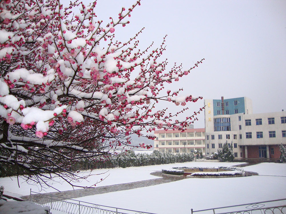 黄麓师范学校 黄麓师范学校