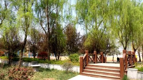 合肥幼师学校